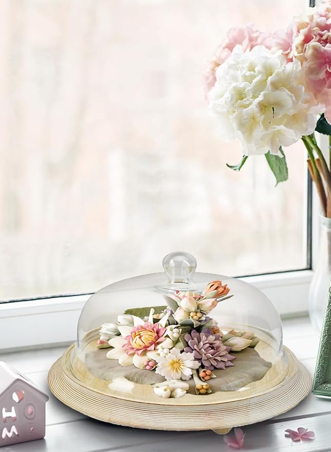 Serene Spaces Living Curio Glass Dome with Natural Wooden Base, Airplants, Flower Blooms, Accessories, Photos, Candles, Dessert Display, Home, Office Decor, Gift Idea - 12" Diameter & 6" Tall