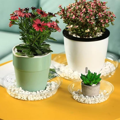 30 Packs 16" Extra-Large Clear Plant Saucers for Indoor Outdoor Use Heavy Duty Plastic Plant Trays for Planter Bulk Flower Pot Drip Trays to Catch Water, 4 to 20 Inch