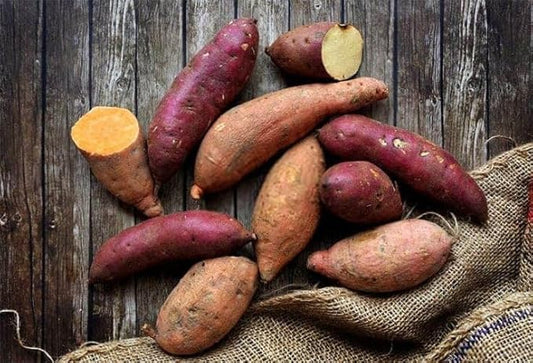 Generic 50pcs Sweet Potato Vegetable Seeds Mixed
