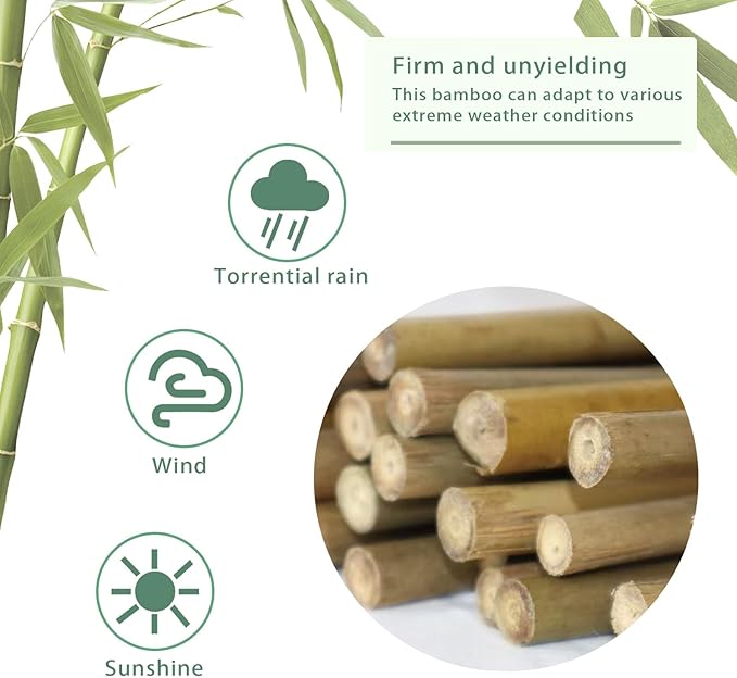 Natural Bamboo Stakes for Plants (25-Pack), 3 Feet Eco-Friendly Garden Stakes for Tomatoes, Vines, Flowers, Climbing Vines, and Outdoor Plants