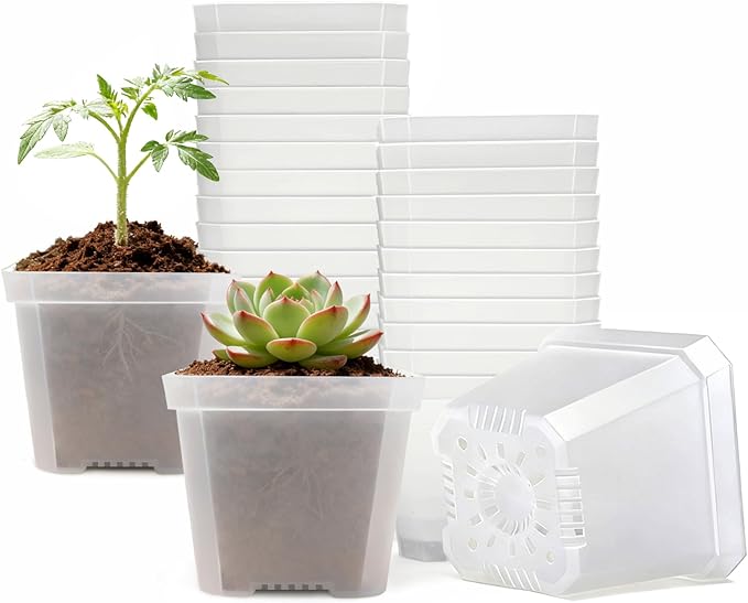 4 Inch Clear Nursery Pots for Plants, 30 Pcs Square Plant Pots, Small Flower Pots for Plants, Hard Planters for Indoor Plants