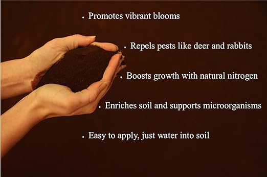 Blood Meal Fertilizer 4 pounds - Premium Nitrogen Source for Enhanced Plant Growth and Soil Enrichment - Suitable for Vegetables, Flowers, and Shrubs - Lancaster Agriculture Products