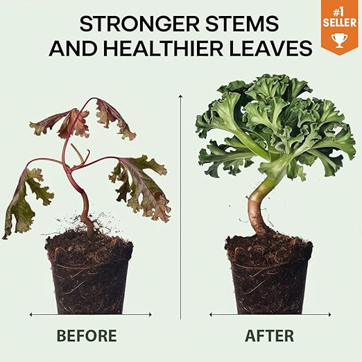 𝐒𝐔𝐏𝐄𝐑𝐈𝐎𝐑 Liquid Silica Boost Fertilizer and Supplement Spray for Passion Fruit Plants – Pre-Mixed, Ready-to-Use Liquid Silicon Plant Superfood Mist for Indoor & Outdoor Plants – 8oz