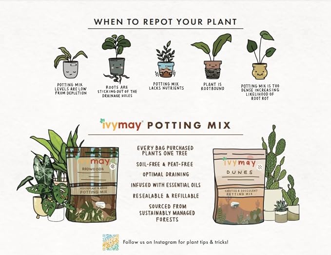 IvyMay Redwoods Potting Soil ― Organic Potting Mix for Indoor House Plants & Aroids, Ready to Use Potting Soil Indoor Plants with Perlite, Earthworm Castings, Essential Oils ― 4 qt