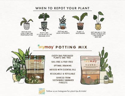 IvyMay Redwoods Potting Soil ― Organic Potting Mix for Indoor House Plants & Aroids, Ready to Use Potting Soil Indoor Plants with Perlite, Earthworm Castings, Essential Oils ― 4 qt