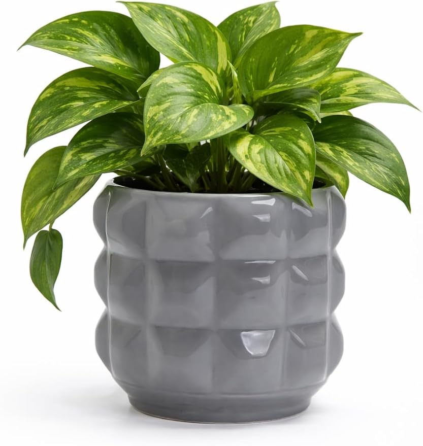 Arktiva Ceramic Planter Pot with Drainage Hole, 4.5 Inch Dia, Indoor and Outdoor, Home Patio Garden, Plants Flower Succulent, 3D Patterned Round (Gray)
