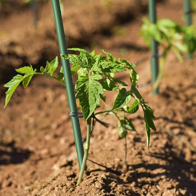 5ft Garden Stakes 3/8" Diameter FRP Plant Supporting Stakes for Climbing Tomato Cucumber Strawberry Bean Tree, Dark Green (10pack 60inch)
