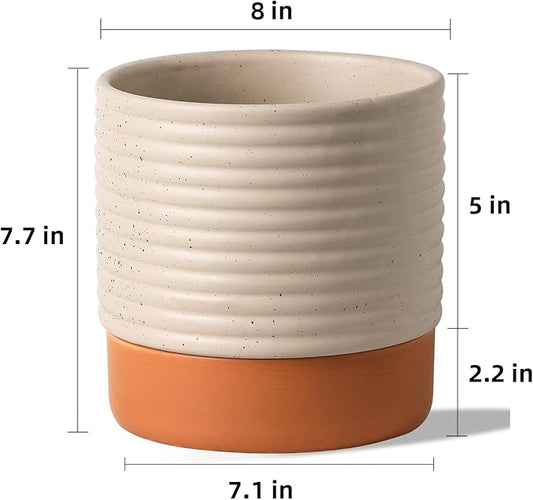 Self Watering Plant Pot : 8 Inch Ceramic Planter with Drainage Hole & Water Storage Plus - Flowerpot for Indoor & Outdoor Plants (Beige & Red-Brown)
