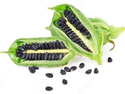Black Sesame Seeds for Growing Black Sesame Plants - Kurogoma Sesame Seeds