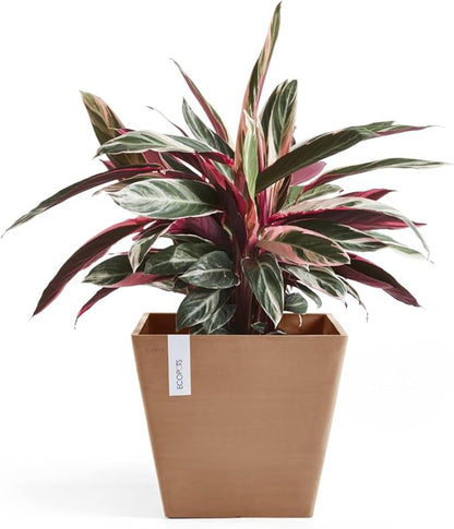 Ecopots Rotterdam Durable Modern Square Indoor/Outdoor Recycled-Based Composite Flower Planter, Terracotta Color, 12"
