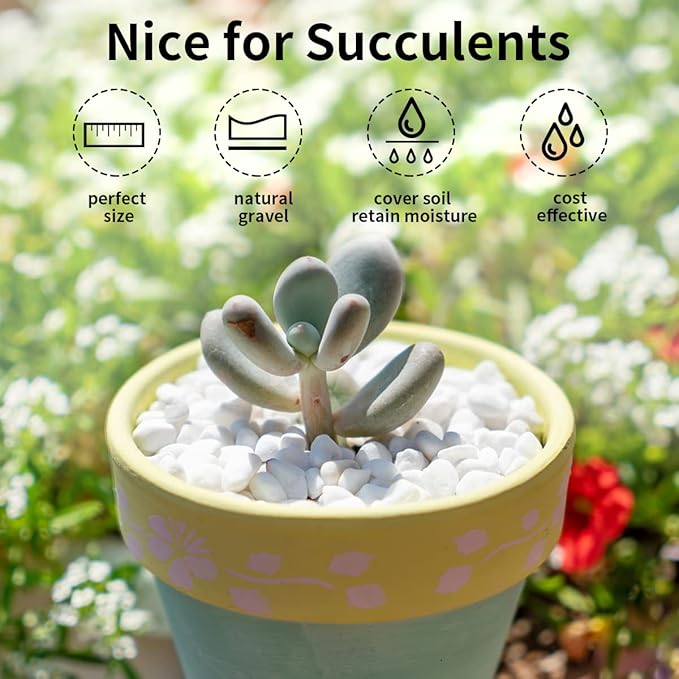 2 lbs White River Rocks for Plants, 3/8 Inch Gravel Pebbles for Plants. Decorative White Stones for Succulents, Cactus, Vase and Outdoor Garden Landscaping