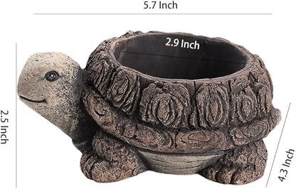 WAIT FLY Animal Cement Flower Pot Succulent Planter-Turtle-1 PCS