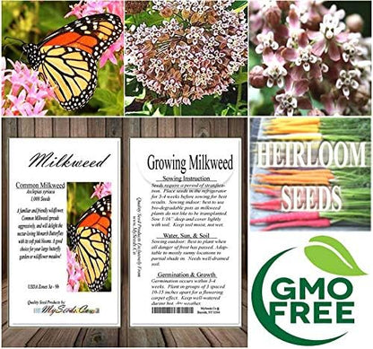 Big Pack - (1,000) Pink Common Milkweed Seeds, Asclepias syriaca (Big Pack Common Milkweed)