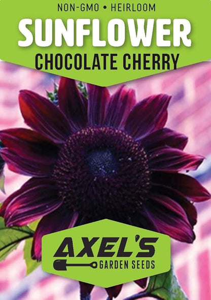 Purple Sunflower Seeds for Planting - 50 Heirloom Non GMO Chocolate Cherry Flower Seeds Plant & Grow Home Outdoor Annual Garden - 1 Packet
