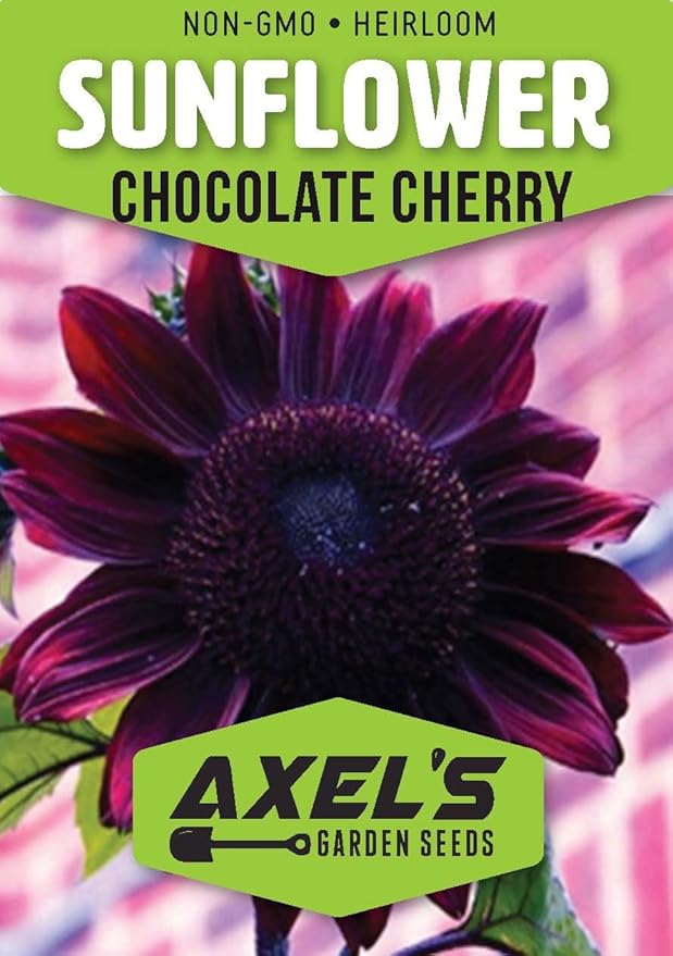 Seed Packets for Planting Chocolate Cherry Sunflowers in Home Outdoor Garden - Heirloom Non-GMO Flower Seed Packets