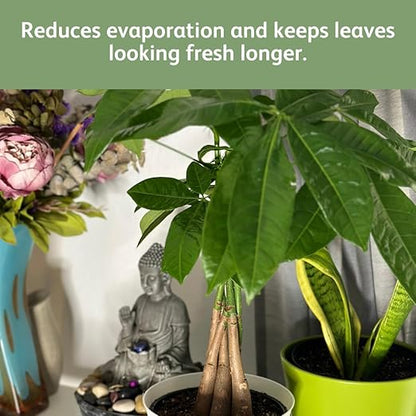 Chrysal Leaf Shine Spray for Indoor Plants (25 Ounce 1 Pack)