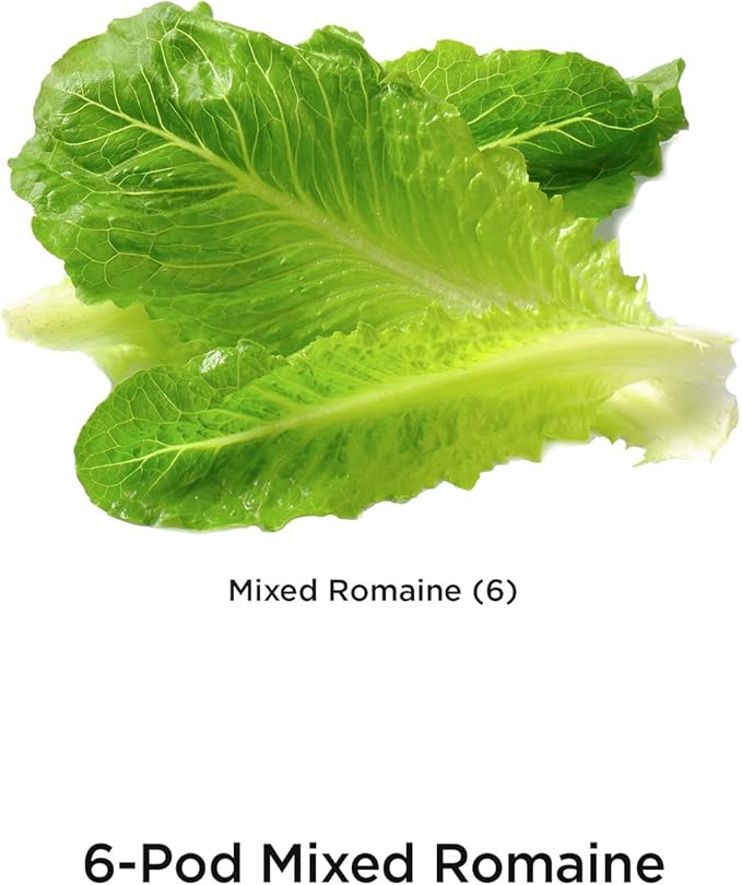 AeroGarden Mixed Romaine Lettuce Seed pod Kit, 6-Pod