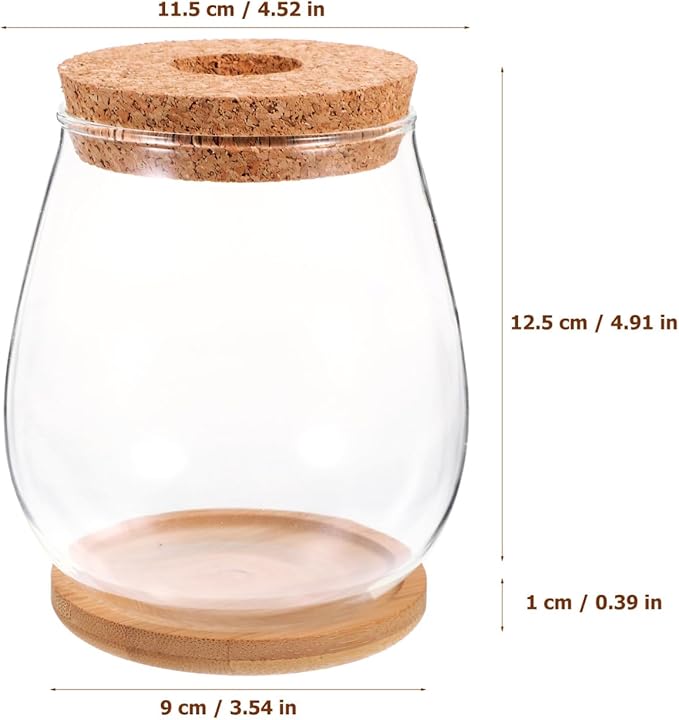 Milisten 1 Set Hydroponic Glass Vase DIY Cork Bottle Micro Landscape Bottle Coral Jar Aquarium Glass Terrarium Cork Planter Terrarium Dill