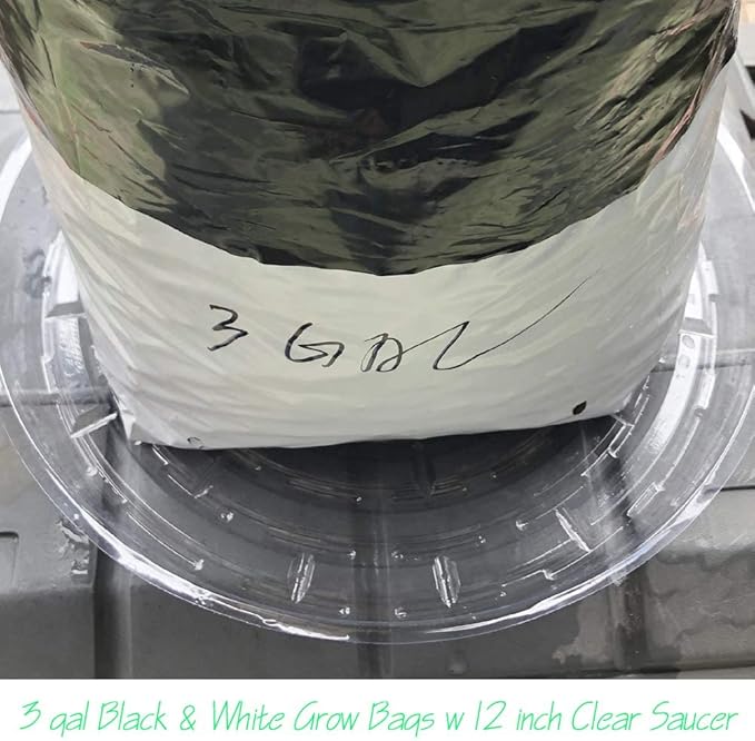 HORTIPOTS Round Pot Saucers 12 inch Clear Plastics (Pack of 10)