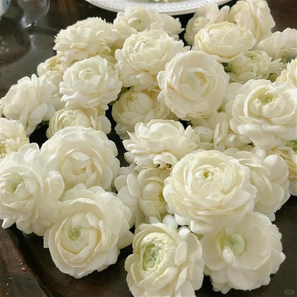 Jasmine Flower Seeds for Planting, 99 Double Jasminum Sambac Seeds, Perennial Flower Plants, Non-GMO Heirloom Climbing Jasmine Seed for Home Garden, Balcony, Vertical Garden Decor