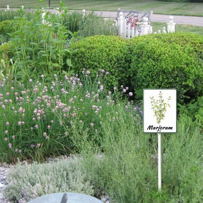 FemiaD Plant Label Signs Planted Herb Garden Markers Waterproof Aluminum Plant Stake Tags Marjoram Sign for Nursery Indoor Outdoor Garden Decoration 4.6x6inch