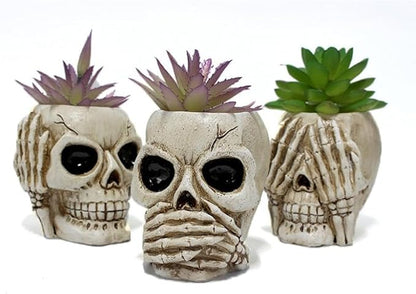 YYW Skull Planter Pot Set of 3 Succulents Pot Halloween Skeleton Sculpture Decor Resin Flowerpot for Home Office Desk Decorations