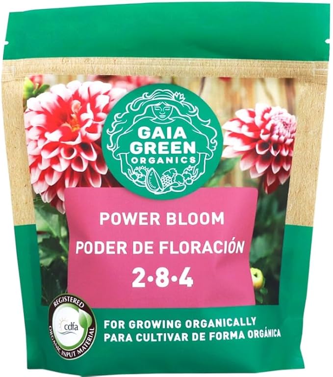 GG Power Bloom, 500 Gram