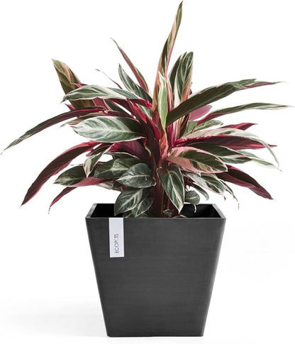 Ecopots Rotterdam Durable Modern Square Indoor/Outdoor Recycled-Based Composite Flower Planter, Dark Grey, 12"