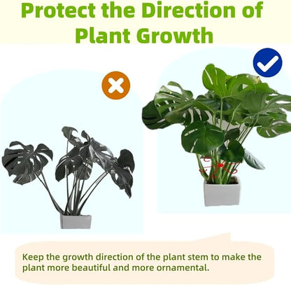 8 PCS Plant Stem Support, Plant Stakes for Indoor Plants Plant Clips for Climbing Plants, Plastic Monstera Plant Support Accessories for Potted Indoor Plant in Various Growth Stage(4 Sizes, 2 Colors)