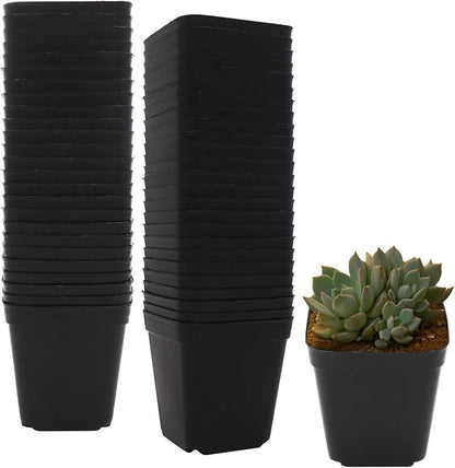 50 PCS Pastic Nursery Pots 2.7Inch Square Plant Pot Thick Balck Starter Container for Starting Seedlings or Succulents (2.7 Inch)
