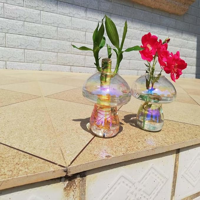 Wall Hanging Mushroom Vase, Small Plant Propagation Stations Fall Bud Vase Cute Mushroom Glass Planter Terrarium Indoor Hydroponic Flower Holder for Elegant Home Decor Gifts, Colorful, 1 PC