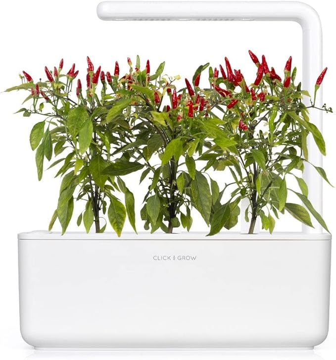 Click and Grow Smart Garden Piri Piri Chili Plant Pods, 3-Pack