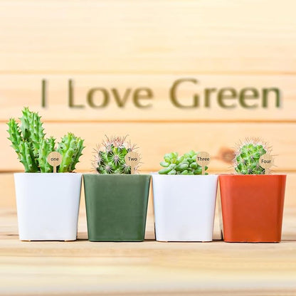 Tofficu 20Pcs Bamboo Plant Labels - Garden Labels for Outdoor Garden Waterproof - Plant Name Tags - Plant Identification Stakes for Succulents Nursery Indoors Greenhouse