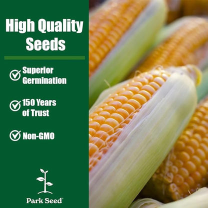 Park Seed 3 Sisters Collection – Grow Corn, Beans & Squash Together for Mutual Support, Includes Ambrosia Corn, Algarve Climbing Beans & Organic Crookneck Squash – Pack of 320 Seeds