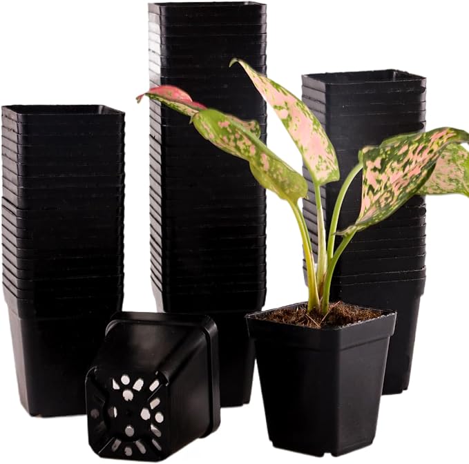 150 Packs Square Nursery Pots for Plants 2.2 Inch Succulent Plant Pots Set Plastic Seedling Starting Pots with Drainage Holes Nursery Pots Variety Pack Flower pots Planter Seed Starter, Black