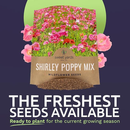 Shirley Poppy Seeds – Mixed Colors – Extra Large Packet – Over 200,000 Open Pollinated Non-GMO Wildflower Seeds – Papaver rhoeas