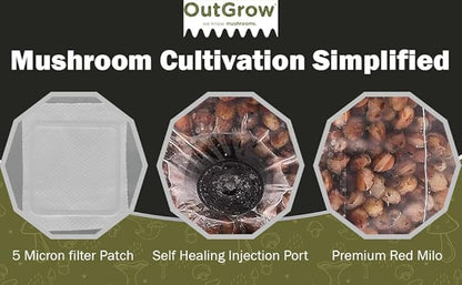 Mini Red Milo All-in-One Mushroom Grow Bag