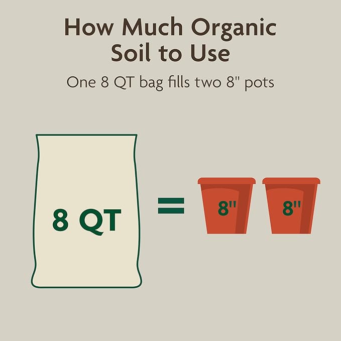 Miracle-GRO Organic Indoor Potting Mix, Protects Against Over and Under Watering, for Indoor Container Plants, Houseplants and Starter Plants, OMRI Listed, 8 qt., 3-Pack