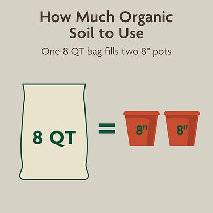 Miracle-GRO Organic Indoor Potting Mix, Protects Against Over and Under Watering, for Indoor Container Plants, Houseplants and Starter Plants, OMRI Listed, 8 qt., 3-Pack