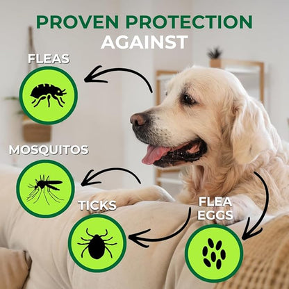 Nature’s Dome Outdoor Flea & Tick Spray – 16 oz – Kills & Repels Fleas, Ticks, Larvae & Eggs – Plant-Based Pest Control – Safe for Pets, Kids & Plants – Ready-to-Use
