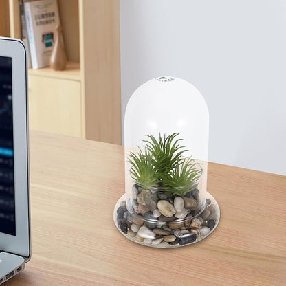 Hemoton Micro Landscape Ecological Bottle Terrarium Jar with 8Mm Hole Glass Plant Dome for Home Office Decoration and DIY Miniature Garden