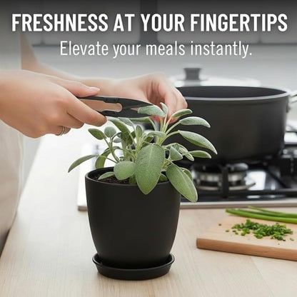 Indoor Garden Kit - Plant Pots with Drainage, Watering Can & Tools - Ideal Windowsill Planter Set - Modern Home & Kitchen Decor Gift - Black