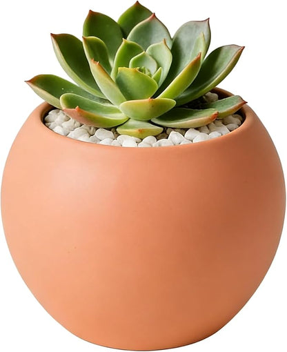 Orange Spherical Ceramic Planter Succulent Small Plant Pots Indoor Modern Round Decorative Indoor-Outdoor Garden Plant Pots with Drainage Holes - Plants Not Included 3.94 x 3.94 x 3.15 Inch