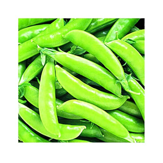 Park Seed Super Sugar Snap Pea Seeds, 1 Pack of 160 Seeds