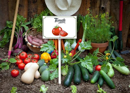 Boylee Vegetable Signs With Stake Tomato Garden Signs For Vegetables Herb Garden Signs Garden Name Stakes For Plants 8x12inch Outdoor Indoor Herbs Flowers Potted Plants
