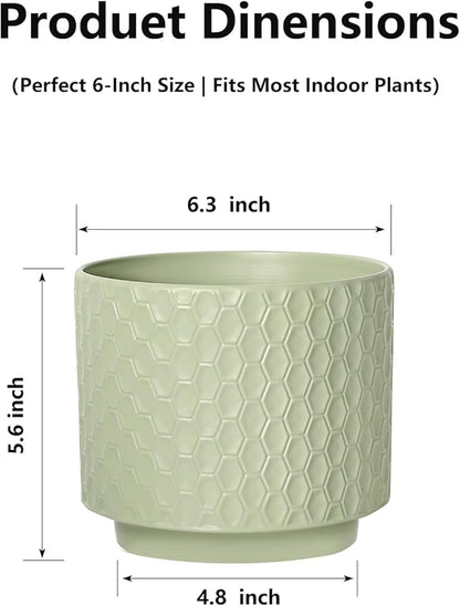 6 Inch Ceramic Pots for Indoor Plants with Drainage Hole & Floral Design, Planter for Home Decor on Windowsill, Tabletop, Office (Light Green)
