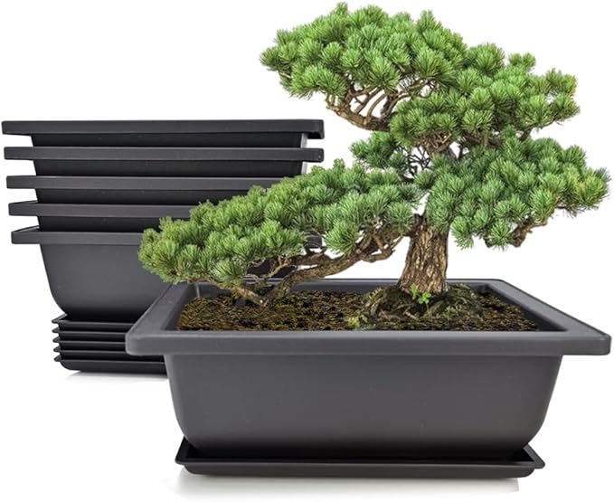 MUZHI 6PCS/Pack Retro Style Basin Larger Plastic Flower Pot Planters 9 Inch Bonsai Plant Bowl Nursery Pots Plastic Bonsai Training Pots Rectangle Large