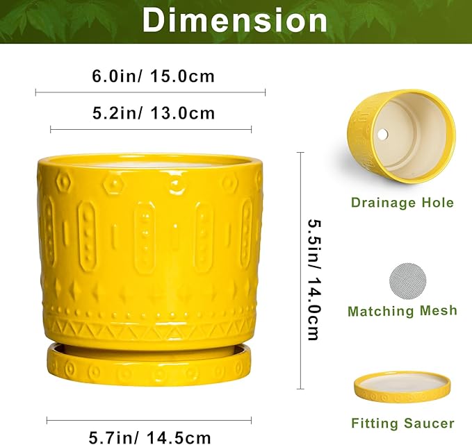 6 Inch Pots for Plants, Ceramic Pots for Plants with Drainage Holes and Tray, Round Planter for Indoor Outdoor, Modern Plant Pot, Decorative Flower Pot, Table Decor, Teacher Gift, Yellow