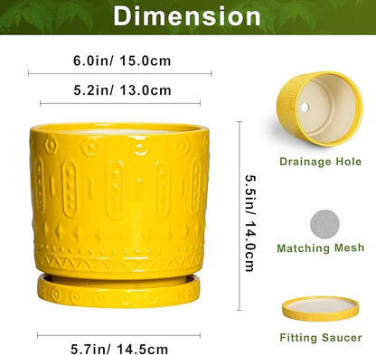 6 Inch Pots for Plants, Ceramic Pots for Plants with Drainage Holes and Tray, Round Planter for Indoor Outdoor, Modern Plant Pot, Decorative Flower Pot, Table Decor, Teacher Gift, Yellow