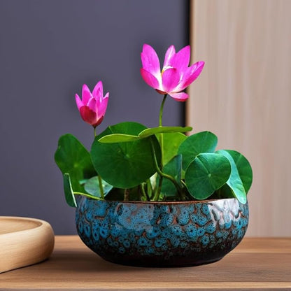 Lotus Bowl Planter, Lotus Bowls for Planting in Water Indoors, Bonsai Bowl Lotus Flower Seeds, Ceramic Planters for Indoor Plants (Blue)